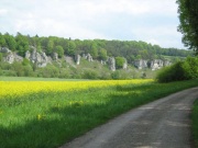 Felsformation "Zwölf Apostel" östlich von Solnhofen