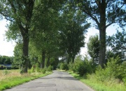 Alte B3