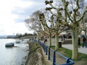 Rheinufer-Promenade in Biebrich, im Hintergrund das Schloss
