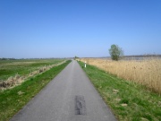 Weg hinter Bugewitz bis zum Holzturm