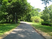Radweg durch den Bürgerpark