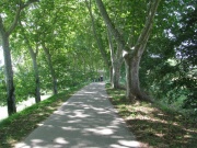 Radweg am Canal du Midi