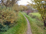 Eher Pfad als Weg (bei Billinghausen)