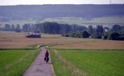 Donau-Radweg bei Pfohren