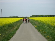 Radforumstour auf dem Fläming-Skate