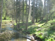 Überreste der Hankertsmühle