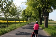 Auf der Landstraße hinter Strasen, Richtung Wesenberg