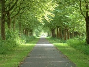 Allee am Kloster Corvey