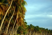 Icacos Bay