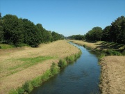 Leine in Göttingen