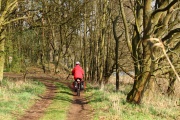 Schwierige Waldstrecke hinter Rüterberg