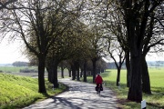 Landstraße nach Benzin