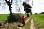 Auf dem Feldweg