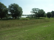 Neißemündung bei Ratzdorf