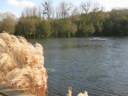 Étang de Moulineux