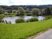 Teich hinter Pferdsdorf