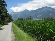 Radweg zwischen Chur und Landquart