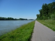 Rheinradweg bei Lauterbourg