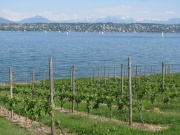 Genfersee