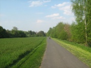 Radweg kurz vor Aschaffenburg