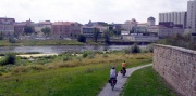 Riesa