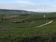Vallée de la Marne