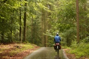 Waldweg zwischen Lychen und Alt-Placht