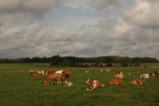 am Wegesrand
