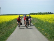 Radforumstour auf der Fläming-Skate-Strecke im Zuge der Tour Brandenburg