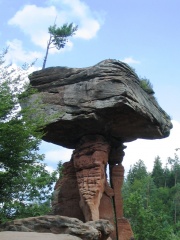 Teufelstisch - Felsformation bei Hinterweidenthal