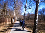 in Lychen