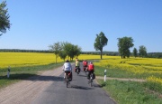 Routenführung auf ruhigen Landstraßen