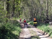 Waldweg zwischen Rummelpforter Mühle und Kröchlendorf
