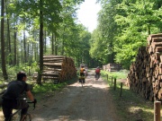 Waldweg am Breiten Luzin