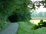 Geschotterter Waldweg hinter Veilsdorf