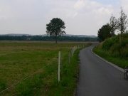 Zwischen Lindheim und Altenstadt
