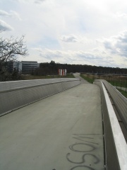 Angenehmer Radweg bei der SAP AG