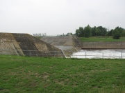 Weiße Elster