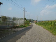 Radweg in Mihla