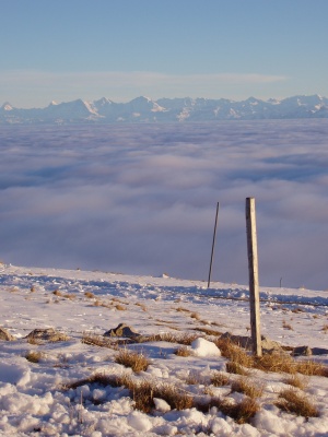 Blick vom Chasseral über das Nebelmeer Richtung Berner Alpen