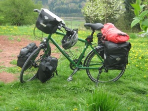 Tine Intec M2 2011