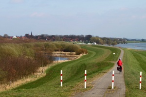 Der Mecklenburgische Seenradweg an der Elbe