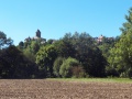 Burg Reichenberg.jpg