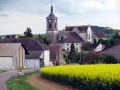 Burgund-Brion.jpg